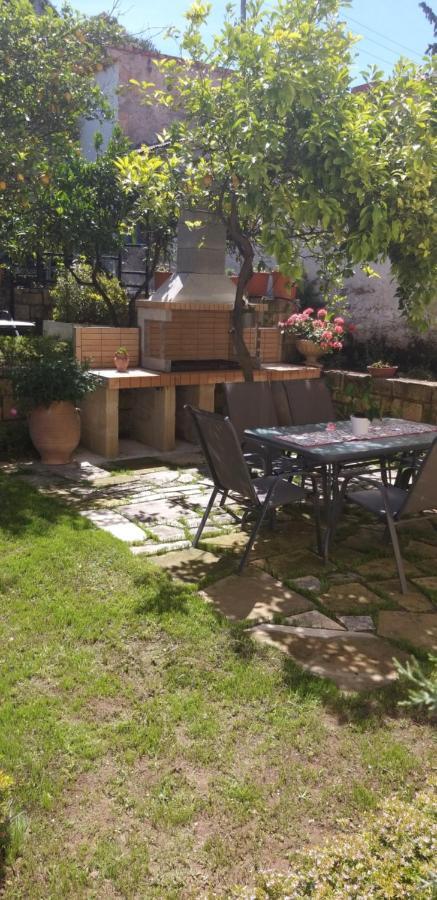 Cactus Apartment Nopigia Luaran gambar