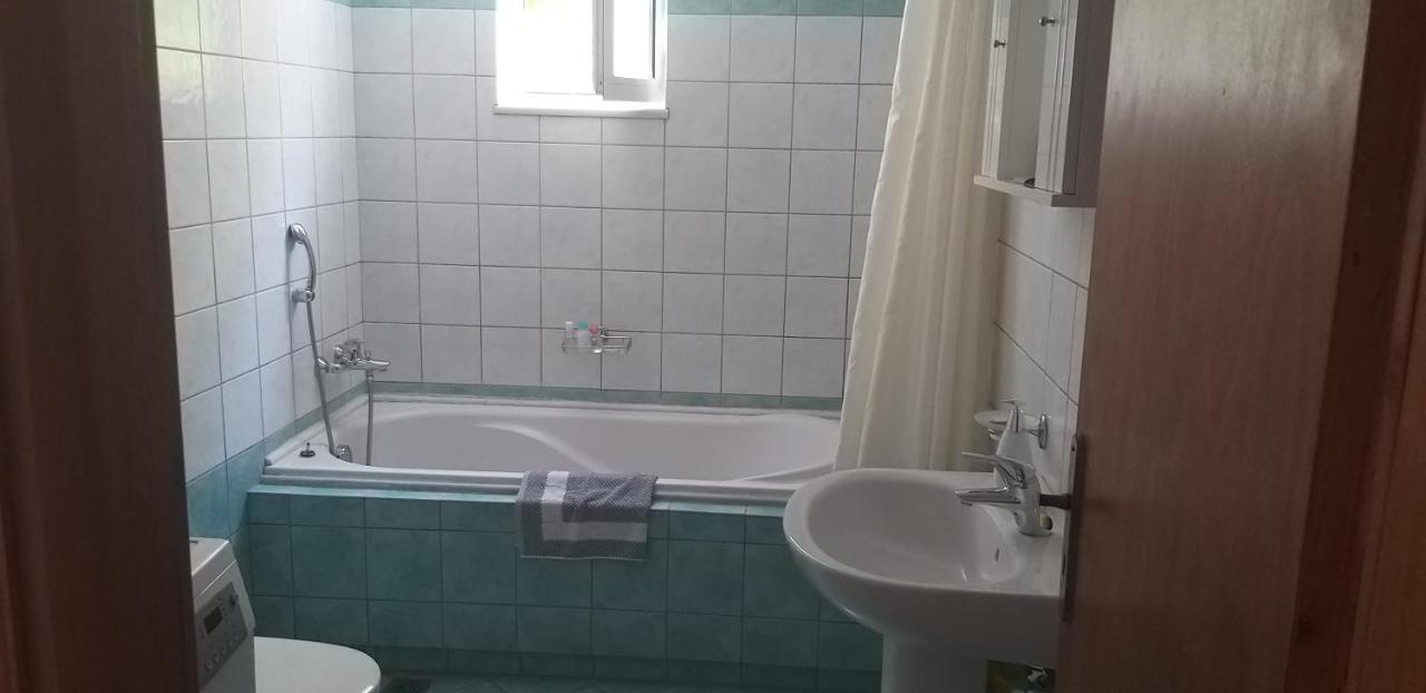 Cactus Apartment Nopigia Luaran gambar